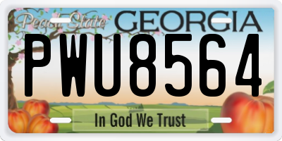GA license plate PWU8564