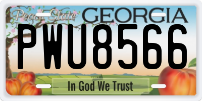 GA license plate PWU8566