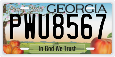 GA license plate PWU8567