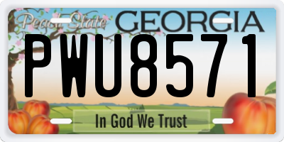 GA license plate PWU8571