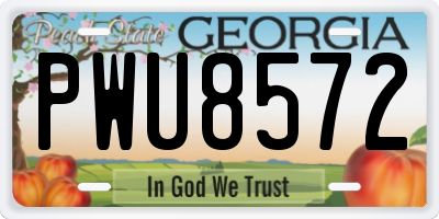 GA license plate PWU8572