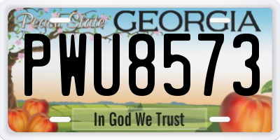 GA license plate PWU8573