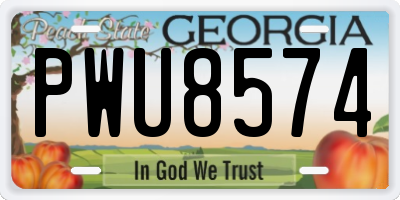 GA license plate PWU8574