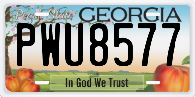 GA license plate PWU8577