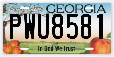 GA license plate PWU8581