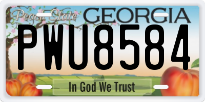 GA license plate PWU8584