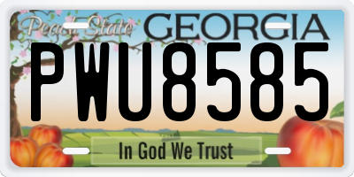 GA license plate PWU8585