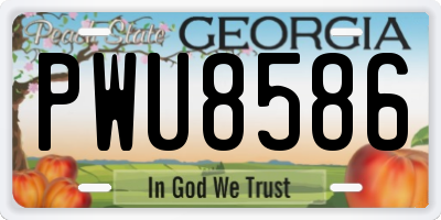 GA license plate PWU8586
