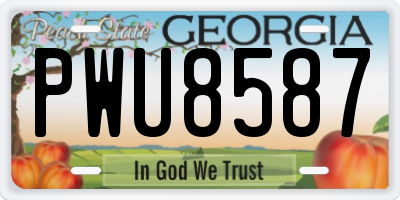 GA license plate PWU8587