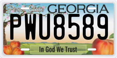 GA license plate PWU8589