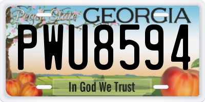 GA license plate PWU8594
