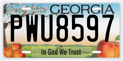 GA license plate PWU8597