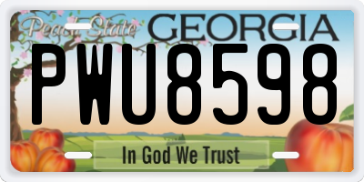 GA license plate PWU8598