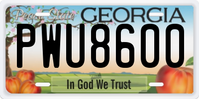 GA license plate PWU8600