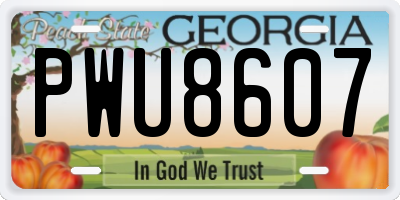 GA license plate PWU8607