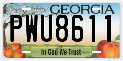 GA license plate PWU8611