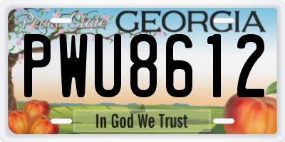 GA license plate PWU8612