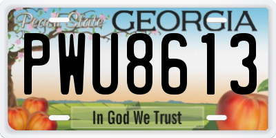 GA license plate PWU8613