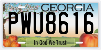 GA license plate PWU8616