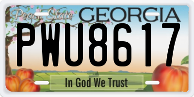 GA license plate PWU8617
