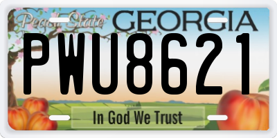 GA license plate PWU8621