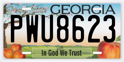 GA license plate PWU8623