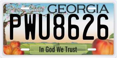 GA license plate PWU8626