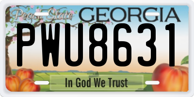 GA license plate PWU8631