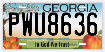 GA license plate PWU8636