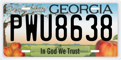 GA license plate PWU8638