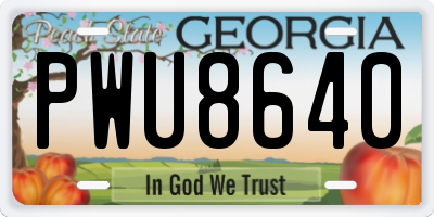 GA license plate PWU8640