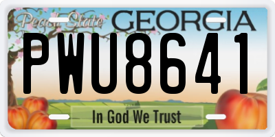 GA license plate PWU8641