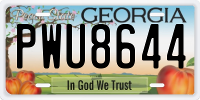 GA license plate PWU8644