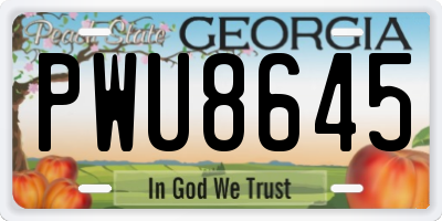 GA license plate PWU8645