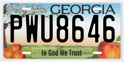 GA license plate PWU8646
