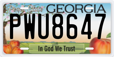 GA license plate PWU8647