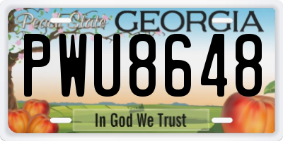 GA license plate PWU8648
