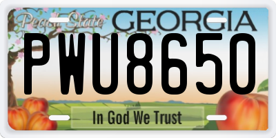 GA license plate PWU8650