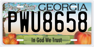 GA license plate PWU8658