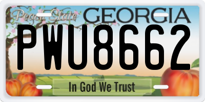 GA license plate PWU8662