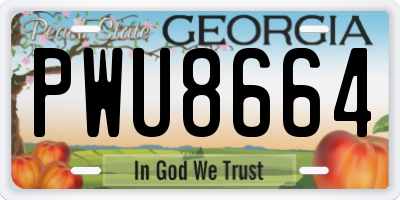 GA license plate PWU8664