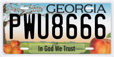 GA license plate PWU8666