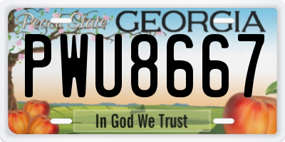 GA license plate PWU8667