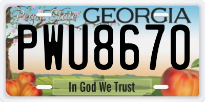 GA license plate PWU8670