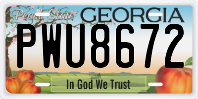 GA license plate PWU8672