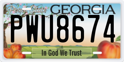 GA license plate PWU8674