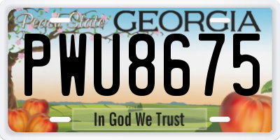 GA license plate PWU8675
