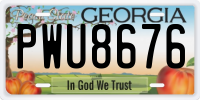 GA license plate PWU8676