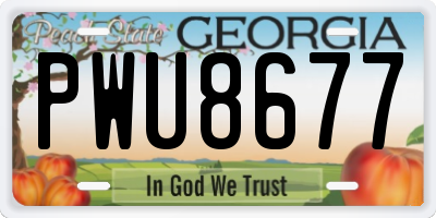 GA license plate PWU8677