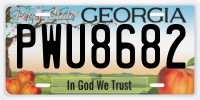 GA license plate PWU8682